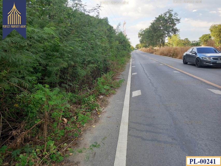 ขายที่ดิน หนองเสือ ทำเลดี จังหวัดปทุมธานี 5