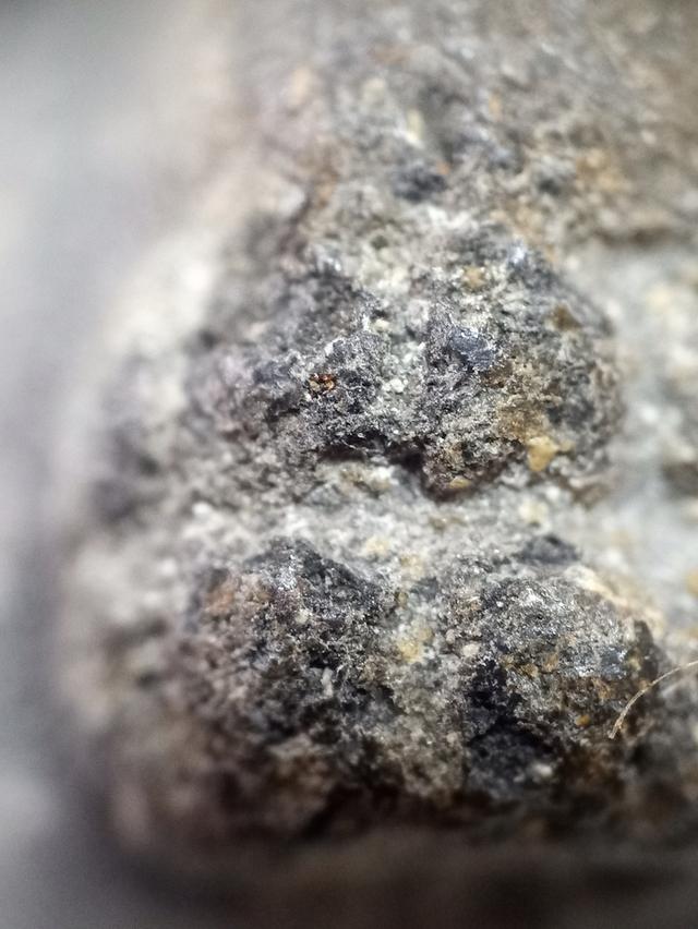 ปู่ทวดเนื้อว่าน 2497 7