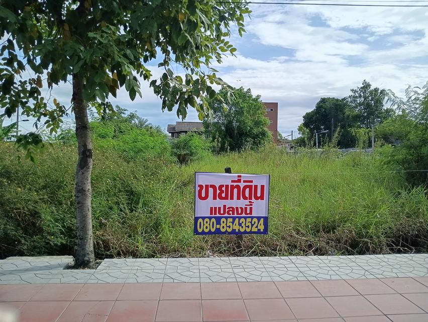 ที่ดินเปล่าติดถนนหกเลน 11