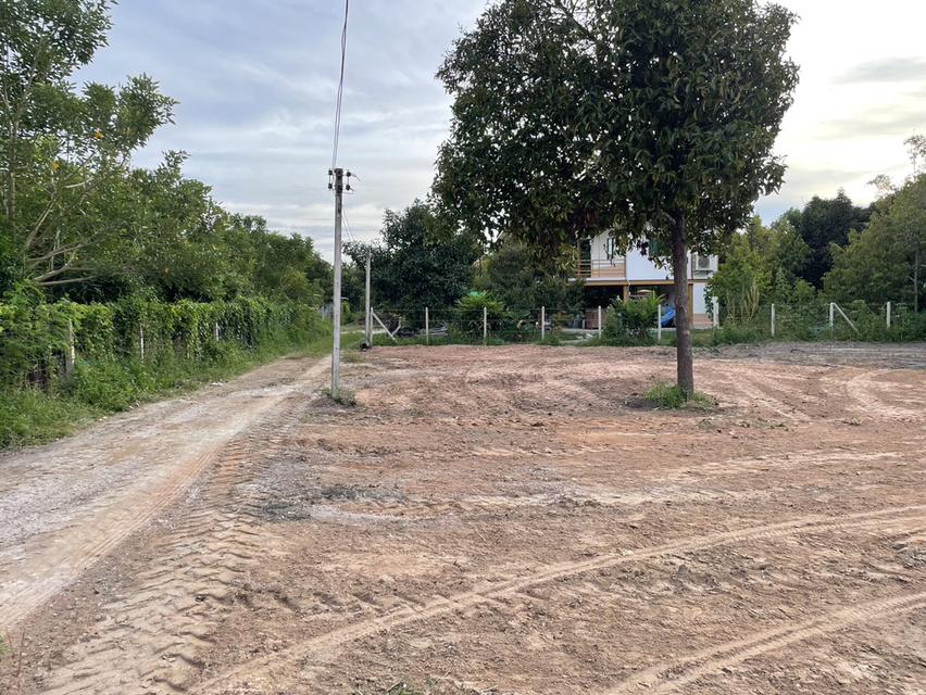 ขายที่ดิน 1 ไร่ ตะพง เมืองระยอง ติดถนนคอนกรีต ใกล้ตลาดผลไม้ตะพง ใกล้เมืองใช้ชีวิตอยู่ได้จริง เหมาะสำหรับอยู่ในวัยเกษียณ 4