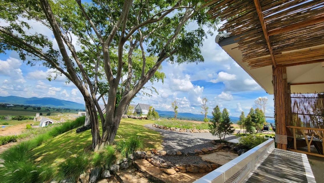 ขายที่ดินเขาใหญ่ บนเนินเขา *วิว360องศา เริ่ม 1.26 ล้านบาท (สูง 440 ม.) อากาศบริสุทธิ์ อ.ปากช่อง จ.นครราชสีมา