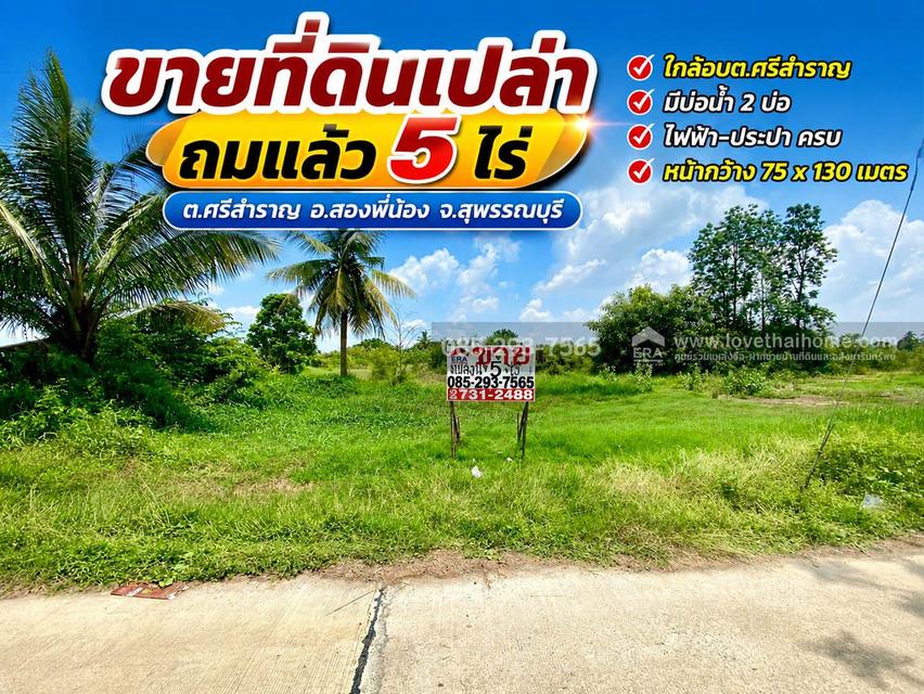 ขายที่ดินเปล่า ต.ศรีสำราญ อ.สองพี่น้อง จ.สุพรรณบุรี พื้นที่ 5 ไร่ ถมแล้ว ห่างจากถนนใหญ่เพียง 200 เมตร ใกล้อบต.ศรีสำราญ 1