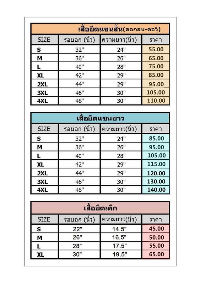 เสื้อยืดสีพื้น 19