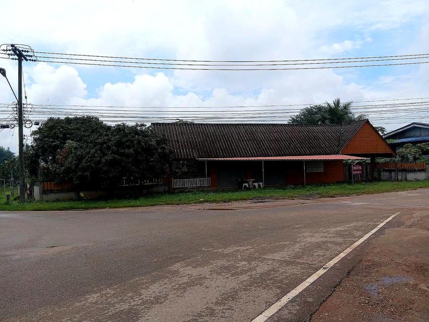 บ้าน+ที่ดิน 121 ตรว. เชียงใหม่ ราคา 1.2 ล้าน 5