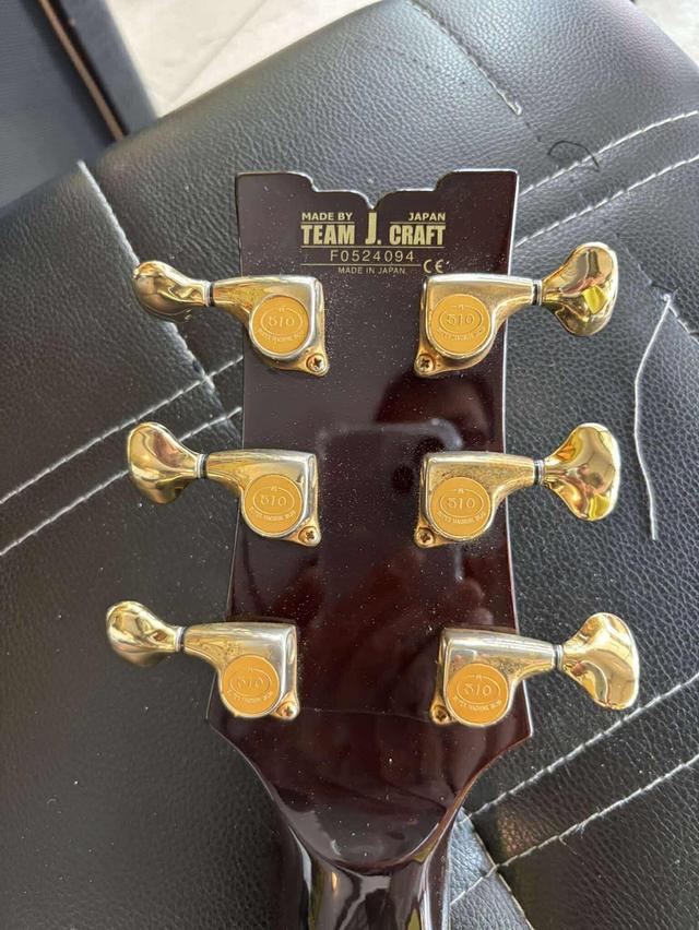 Guitar Ibanez John Schofield 10