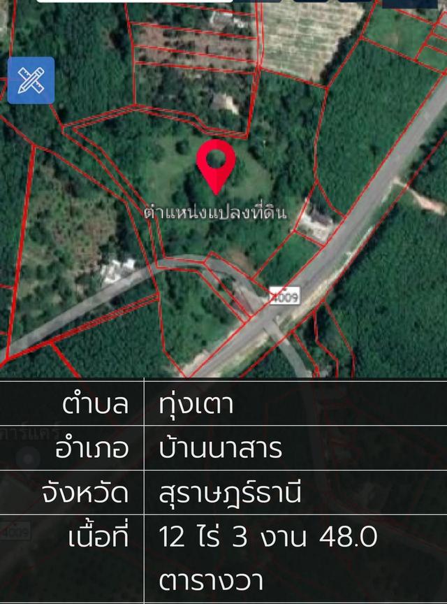 ขายที่ดินติดถนน อำเภอบ้านนาสาร สุราษฯ 3