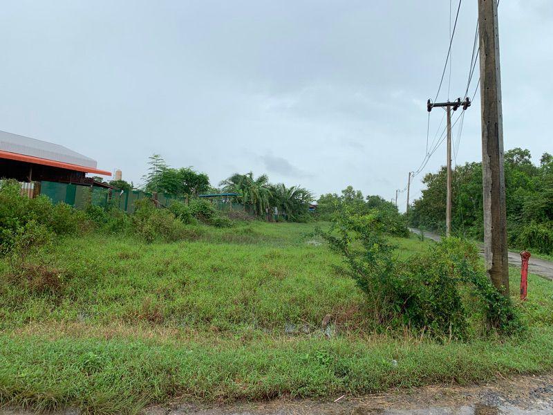 ขายที่ดินเปล่า ทำเลดี อำเภอกาญจนดิษฐ์ จังหวัดสุราษฎร์ธานี 2