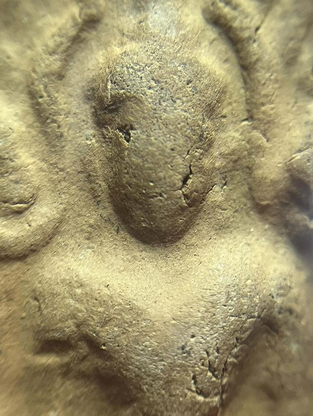 พระขุนแผนไข่ผ่าซีก หลังตอกโค๊ต พระสยามเทวาธราช หลวงพ่อเปลื้อง วัดใหม่สุวรรณภูมิ สุพรรณบุรี ปี2504 ผสมพระกรุเนื้อดินภายใน จ.สุพรรณบุรี