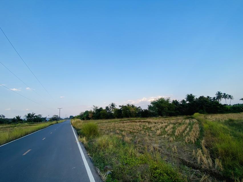 ขายที่ดินทางไปอ.ภูผาม่าน จ.ขอนแก่น 3