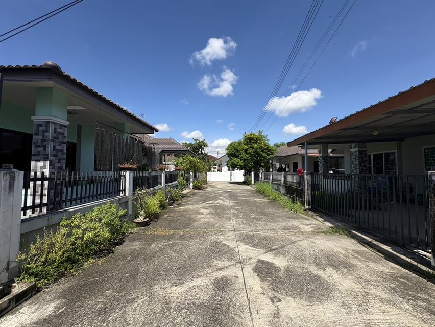 🏡 ขายบ้านชั้นเดียว สันปูเลย – ท่ารั้ว ดอยสะเก็ด ✨ ทำเลดี