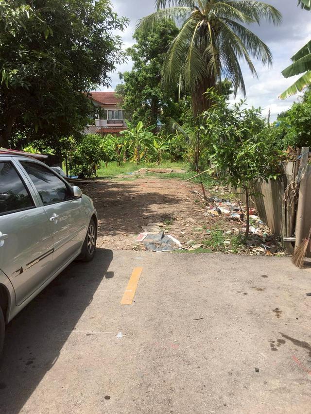 ขายที่ดิน 204 ตารางวาถมแล้ว ซอยวัดเสาธงหิน อำเภอบางใหญ่ จังหวัดนนทบุรี 4