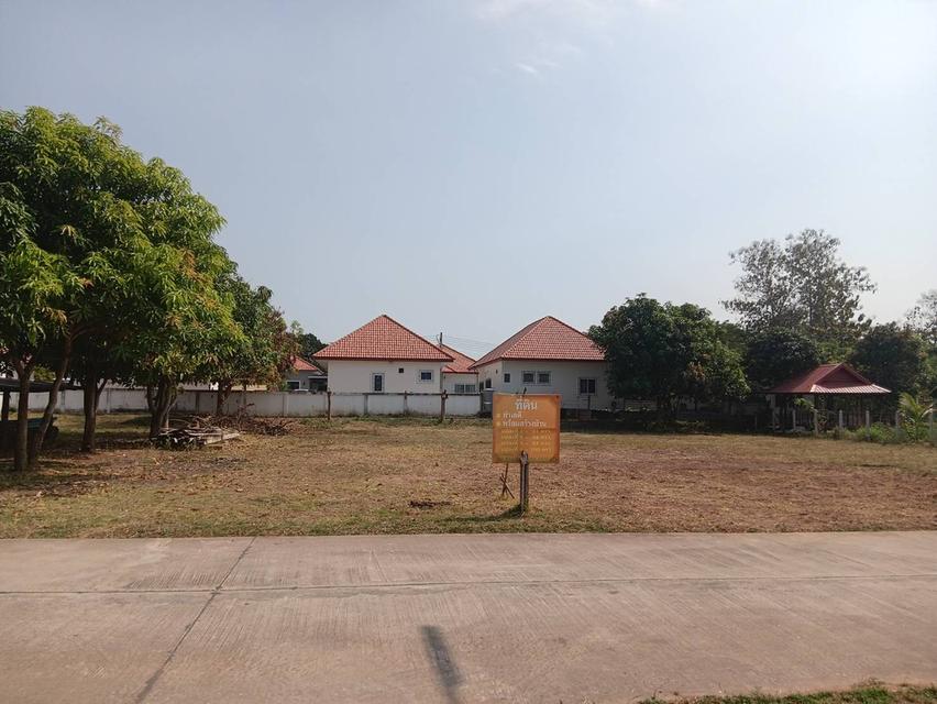 ขายที่ดิน แบ่ง 3 แปลง เจ้าของขายเอง 91 ตารางวา ขอนแก่น 3