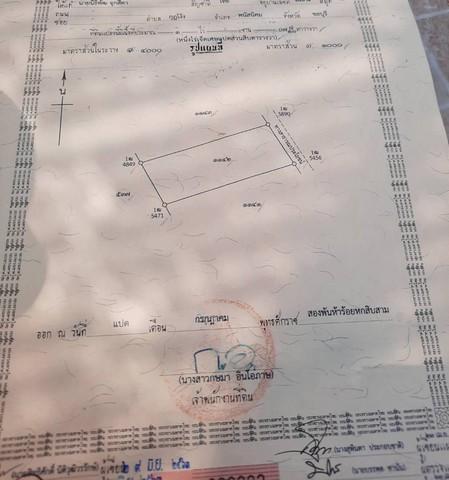 ขายที่ดินพนัสนิคมชลบุรีราคาถูก เนื้อที่ 1 ไร่ 8 ตร.วา ปลูกบ้านพักอาศัย บ้านสวน บรรยากาศร่มรื่น อยู่ในแหล่งชุมชน เดินทางส 8