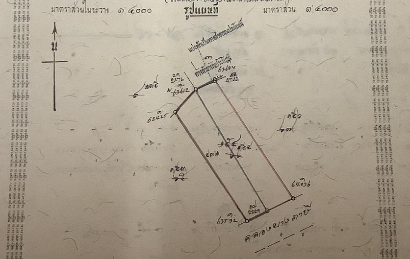 ที่นา 9 ไร่เศษ อ.บางเลน จ.นครปฐม ติดคลองบางภาษี มีน้ำทำนาได้ตลอดปี 2