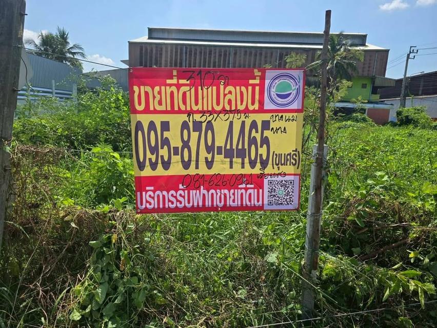 ขายด่วนที่ดิน 310 ตารางวา ติดถนสาธารณะ 2 ด้านแปลงมุม บางแม่นาง บางใหญ่ นนทบุรี 1