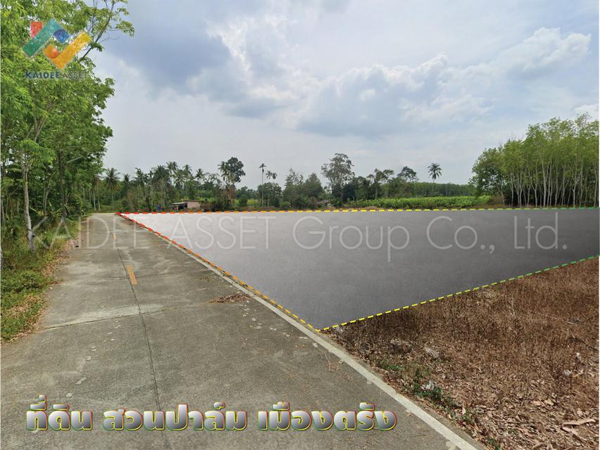 ที่ดิน โคกหล่อ เมืองตรัง ตรัง สวนปาล์ม ใกล้สนามบิน ราคาถูก 3
