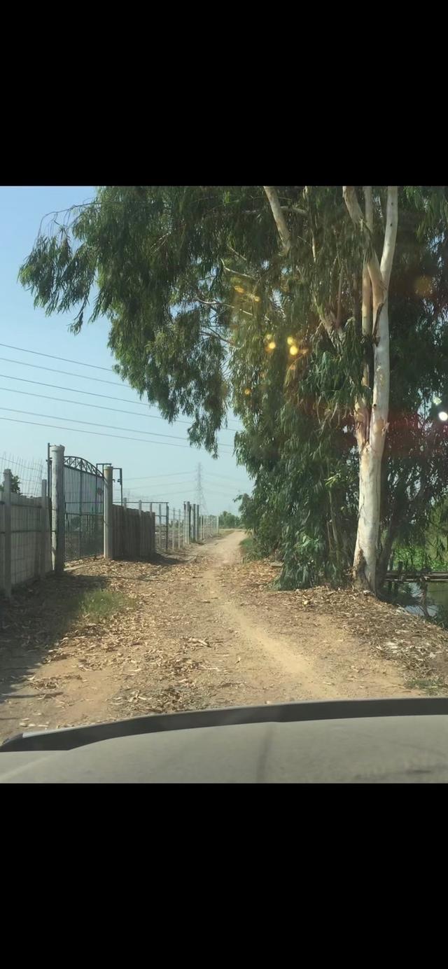 ขายที่ดินเปล่า 4 ไร่ ตำบล วัดยม อำเภอ บางปะอิน จังหวัด พระนครศรีอยุธยา 5