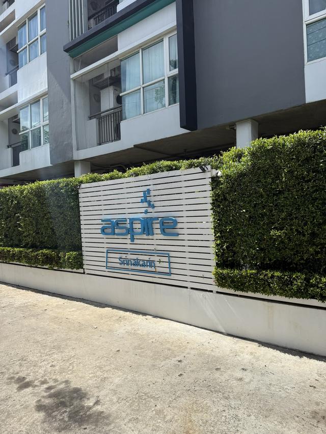คอนโด aspire ศรีนครินทร์ 1