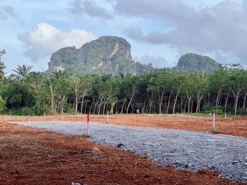 🏞️ ขายที่ดินแปลงสวย ราคาคุ้มค่า – เหลือเพียง 1 แปลงสุดท้าย!🥚ขนาด: 1 ไร่ 10 ตร.ว🏡ราคาเพียง 2,500,000 บาท 📍เอกสารสิทธิ์ โฉนดครุฑแดง 2