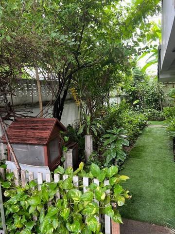 ให้เช่าบ้านเดี่ยว 2 ชั้น 50 ตรว. ซอยวิภาวดี จตุจักร จอมพล จดทะเบียนได้ เลี้ยงสัตว์ได้ 2