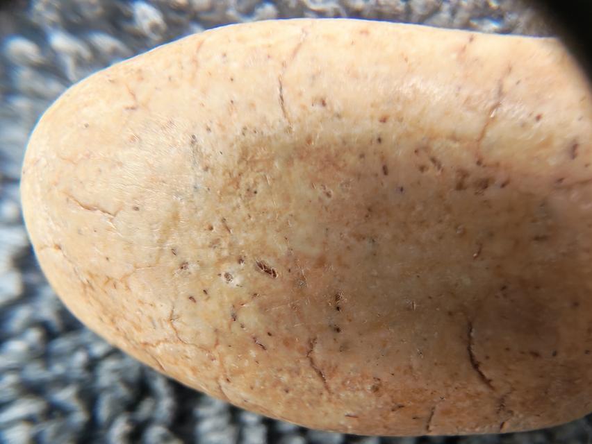 สมเด็จวัดพลับ พิมพ์พุงป่องใหญ่ รูปที่ 8