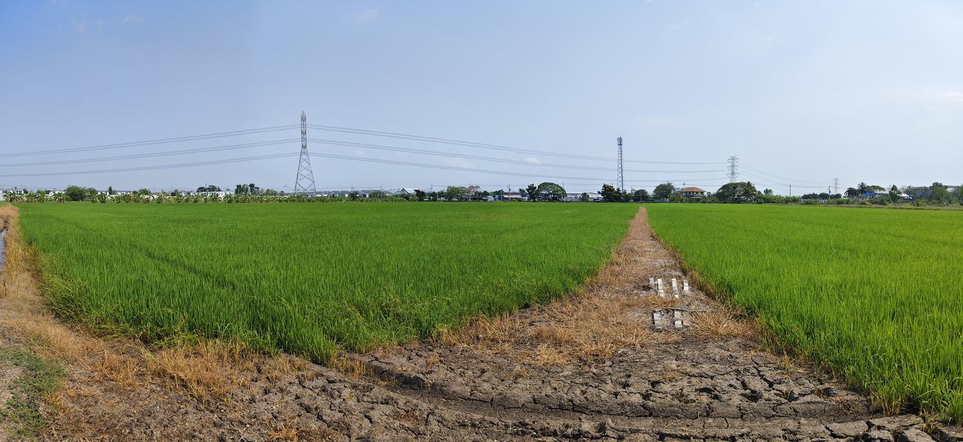 ที่ดิน ซ. เกาะเกรียง อ.เมือง จ. ปทุมธานี 4