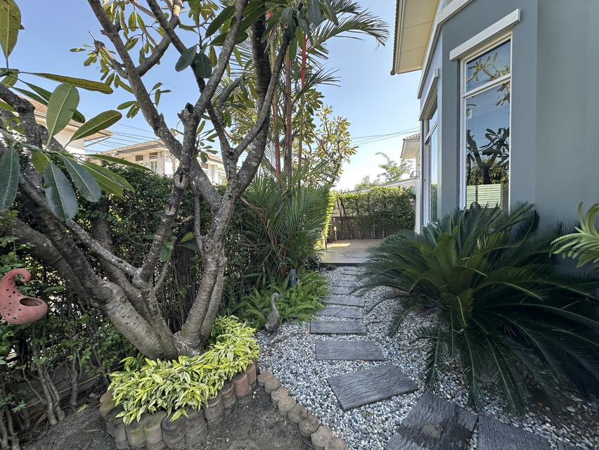 ขายบ้านเดี่ยว THE PLANT บางแค 3 ห้องนอน พร้อมเข้าอยู่ ทำเลดี เดินทางสะดวก ใกล้ MRT หลักสอง 12