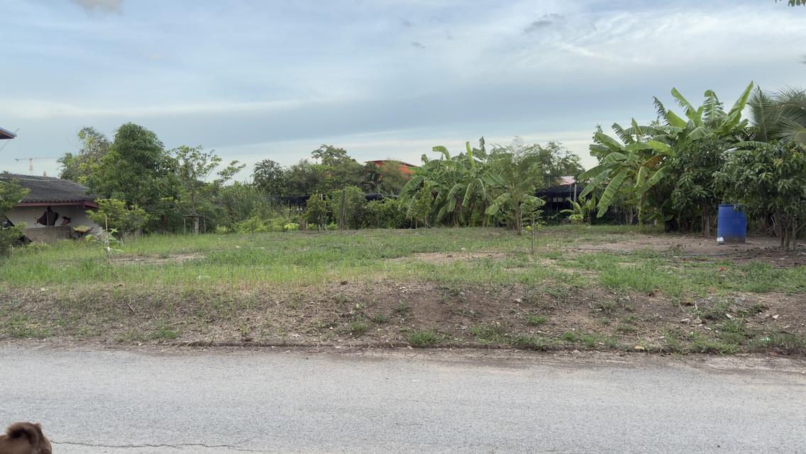 ขายที่ดินเปล่า 130 ตรม. เพชรเกษม110 3