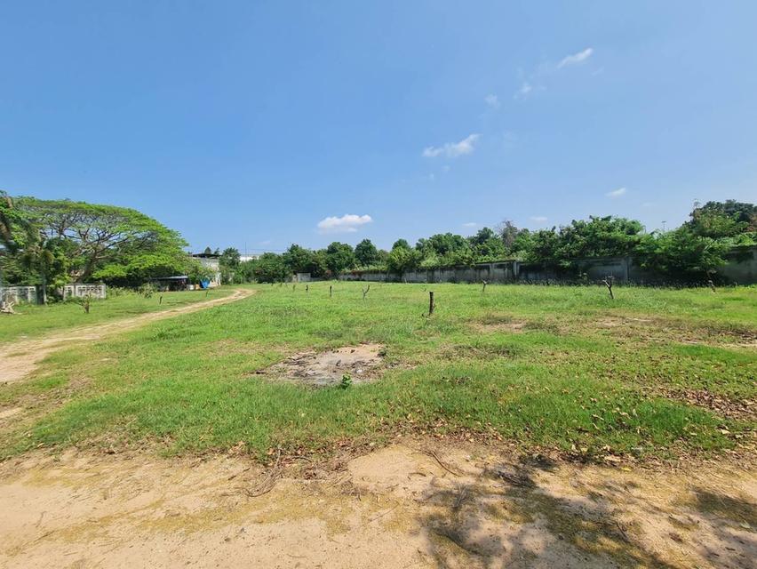 ขายที่ดินพัทยาใต้ ซอยสุขุมวิท 58 และ 60  8