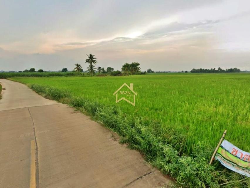 ที่ดิน 10 ไร่ ต.บ้านไร่ อ.บางกระทุ่ม จ.พิษณุโลก 2