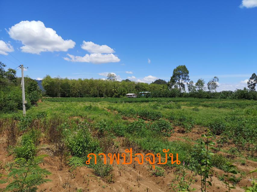 รูป ขายที่ดิน 12-1-6 ไร่ อ.ลานสัก ​จ. อุทัยธานี​ 3
