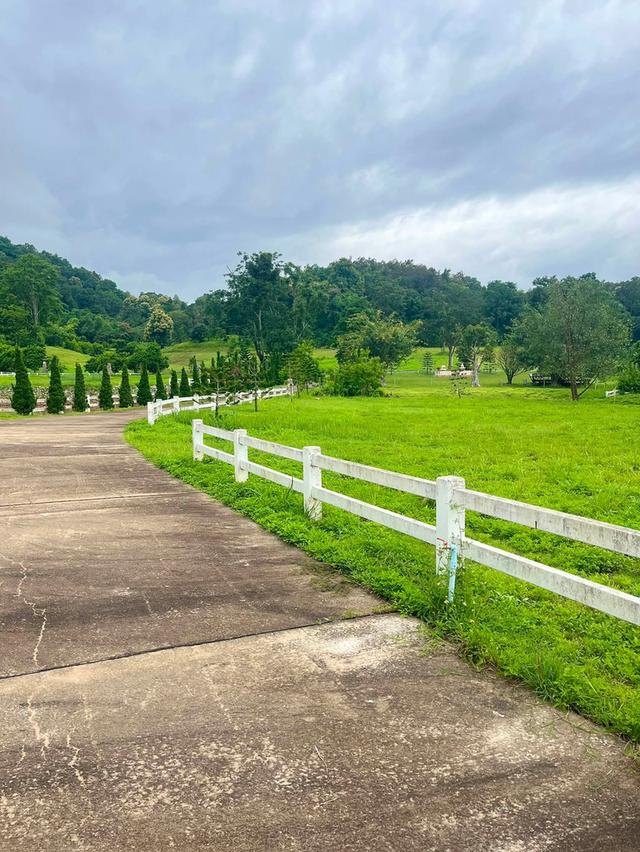 📣🏡 ที่ดินวิวดอย #บ้านปง อ.หางดง เชียงใหม่ 15