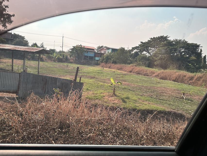 ขายที่ดิน 1 ไร่  950,000.- บาท อ.เมือง  พระนครศรีอยุธยา 4