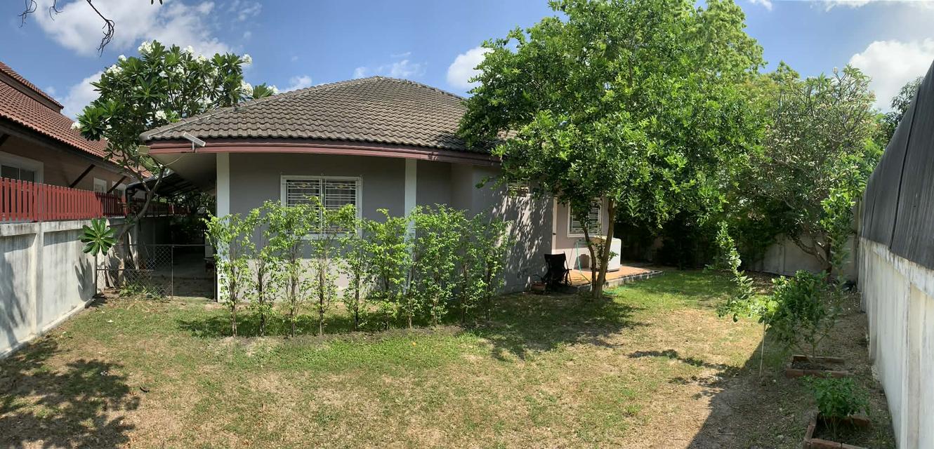 บ้านเดี่ยว ชั้นเดียว 99 ตรว. มบ.อารียะวิลล่า สยามคันทรีคลับ พัทยา 9