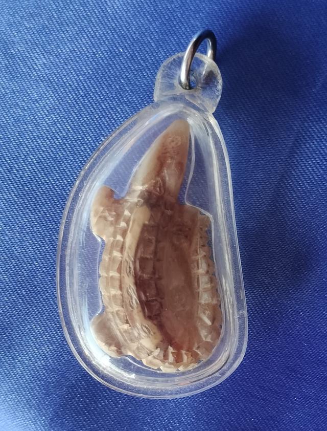 จรเข้แกะหลวงพ่อสนิท วัดลำบัวลอย