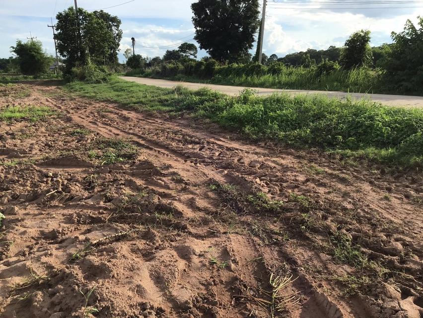 ที่ดิน 5 ไร่ 1 งาน โฉนด นส.4 จ 5