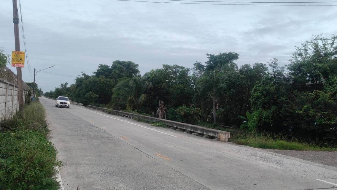 ขายด่วนที่ดิน 680 ตรว ติดถนนสาธารณะ 2 ด้าน แปลงมุม บ้านงิ้ว สามโคก ปทุมธานี 5