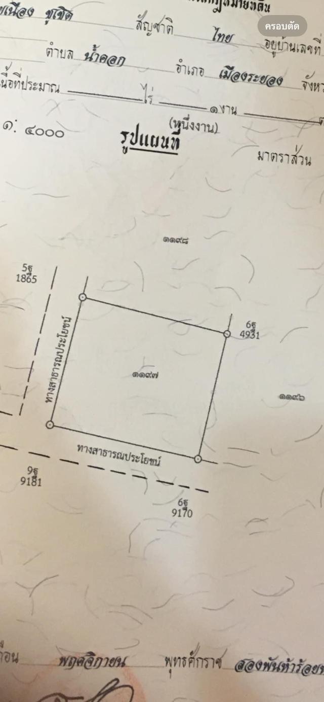 ที่ดินระยอง สวยร่มรื่น น้ำไม่ท่วม ทำร้านอาหารเท่ห์ๆ โรงคั่วกาแฟเก๋ๆเ ที่ตั้งอยู่หลัง bigc ระยอง ใกล้ ถนน บายพาส36 เนื้อที่ 196 ตรว เจ้าของขายเอง รูปย่อยที่ 2