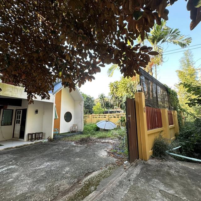 🏡 บ้านไม้กึ่งปูนสไตล์โฮมมี่ ที่ดินกว้าง 160 ตร.ว.! #หางดง ทำคาเฟ่ได้ Cozy Wood-Concrete House for Rent - 160 sq.w., Cafe Friendly! 11