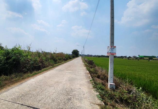 ขายที่ดิน บางไทร อยุธยา ใกล้คลองพระยาบันลือ เนื้อที่ 2 ไร่ ราคาถูก 3