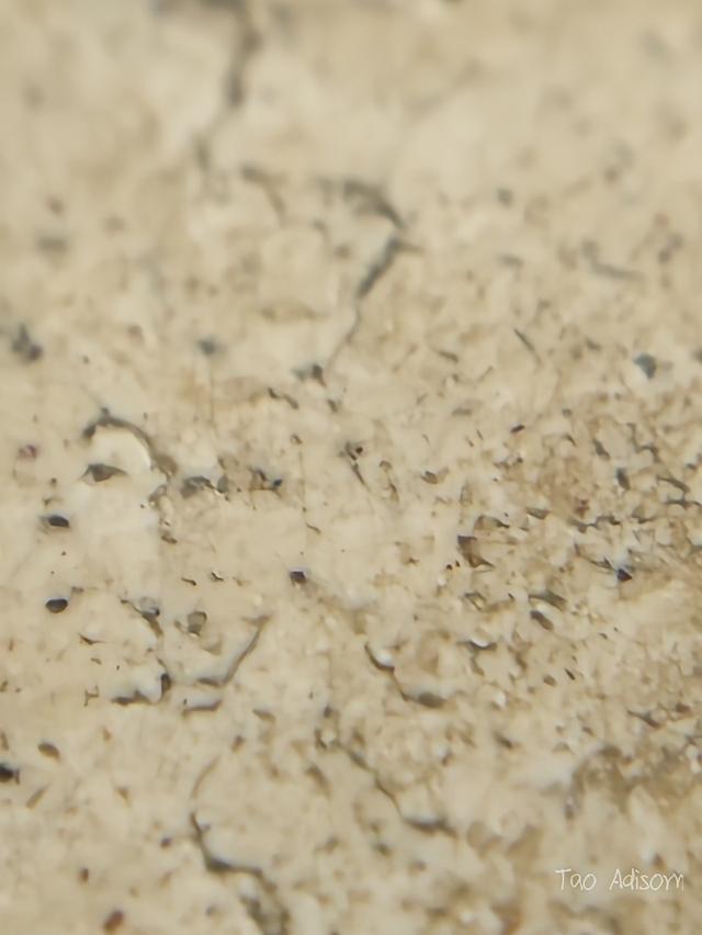 พระสมเด็จวัดระฆังโฆสิตาราม 7