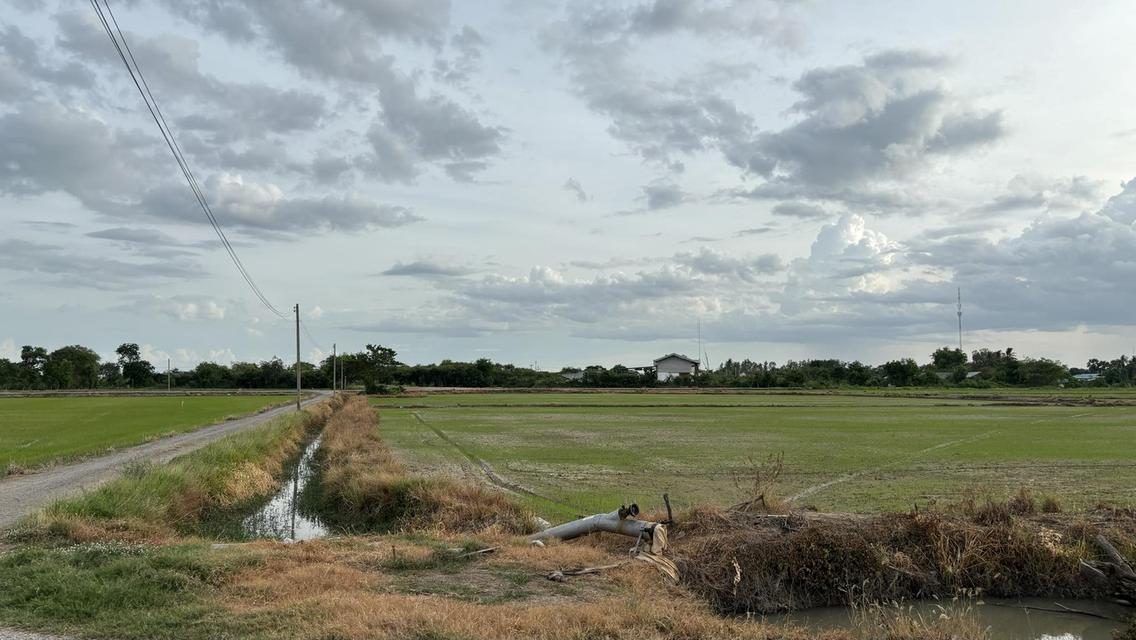 บ้านพร้อมที่ดิน อำเภอสามโก้ จังหวัดอ่างทอง 20