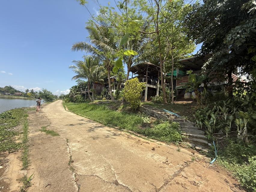 ที่ดินพร้อมบ้าน ที่เชียงราย 8