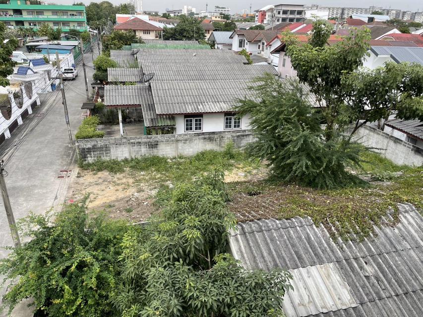 ขายที่ดิน เหมาะสร้างบ้าน ปุณณวิถี 47 สุขุมวิท101 บางจาก พระโขนง 55 ตรว ทำเลดี 3