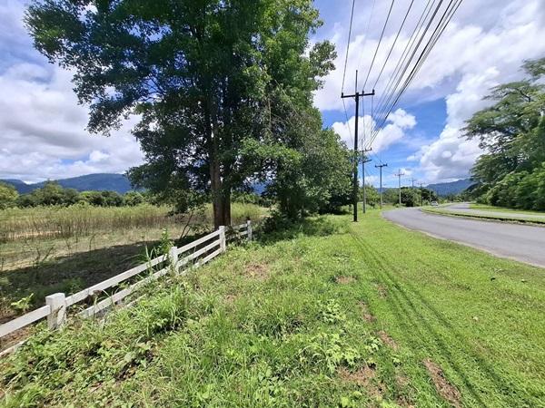 ขายที่ดินแปลงใหญ่สวยเนื้อที่ 11 ไร่ ต.สาริกา อ.เมืองนครนายก จ.นครนายก โทร.084-1416555 3