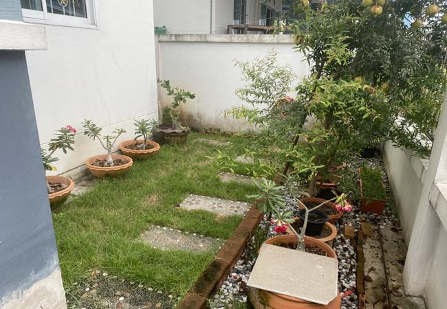 ขายบ้านแฝด หมู่บ้านพรหมศิริ เพชรเกษม 77 เนื้อที่ 33.6 ตร.ว. 2 ชั้น 3 นอน 3 น้ำ 3