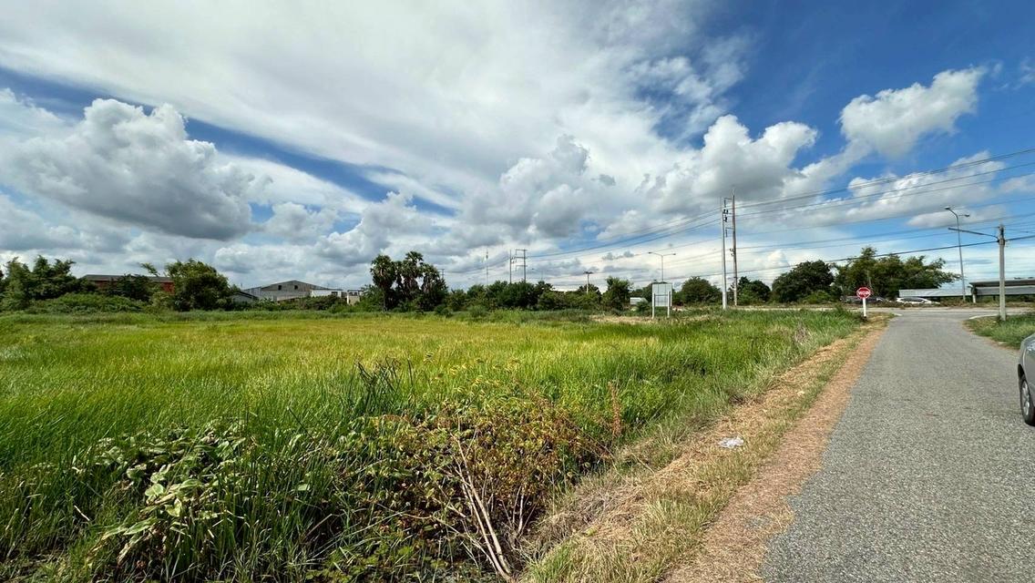 ขายที่ดินเปล่า เนื้อที่ 55-3-36 ไร่ ถนนศุขประยูร ตำบลหนองตีนนก อำเภอบ้านโพธิ์ จังหวัดฉะเชิงเทรา 9