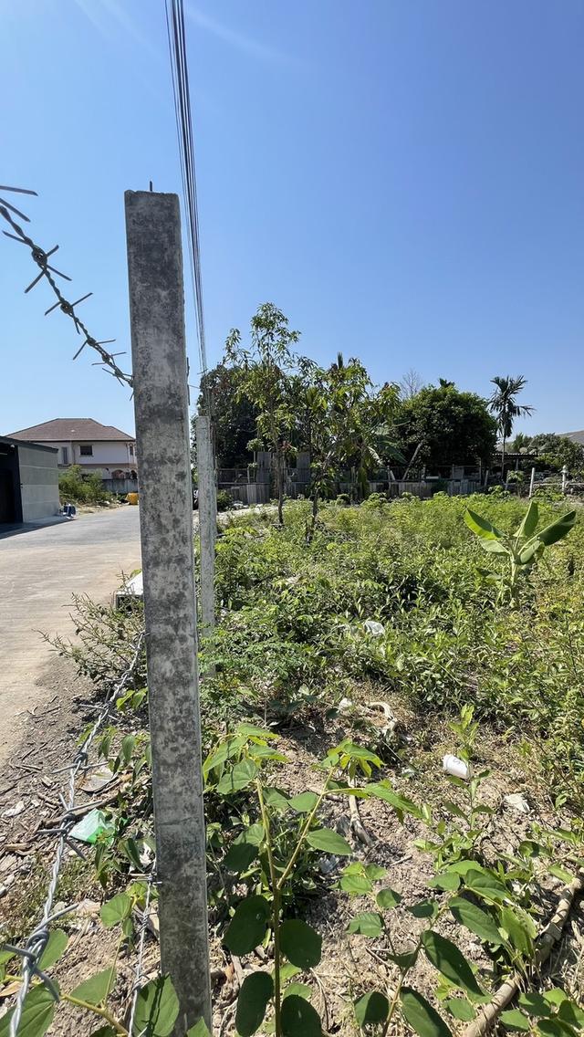 ให้เช่าที่ดินเปล่า ซ.สายไหม 25 5