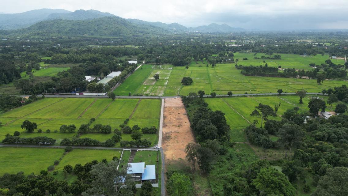 เปิดขายที่ดินทำเลบ้านนา นครนายก เริ่มต้นเพียง 4,900 บาท/ตร.ว. 5