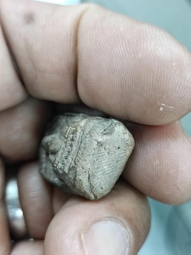 พระคงลำพูน กรุเก่า เนื้อดิน รูปที่ 6